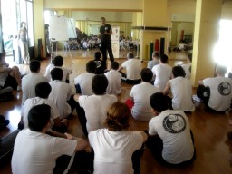 sifu mezzone stage